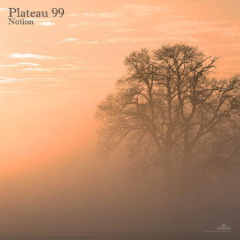 PHLOAL016
