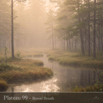 PHLOFI119_web