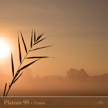 PHLOFI012