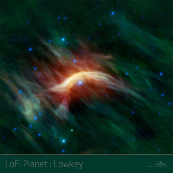 PHLOFI015
