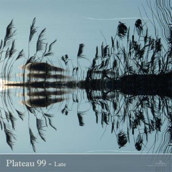 PHLOFI016