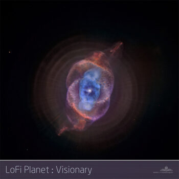 PHLOFI022