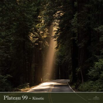 PHLOFI033