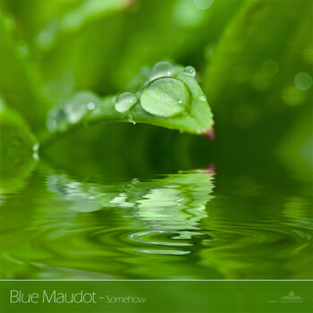 PHLOFI092