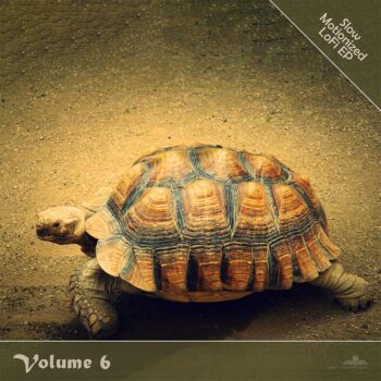 PHLW006